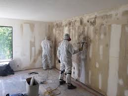 Best Real Estate Mold Inspection  in Orleans, IN